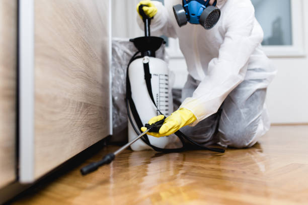 Best Mosquito Control Services  in Springhill, LA