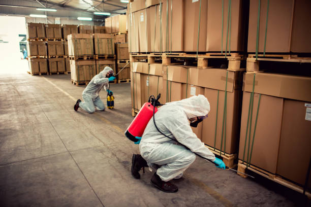 Professional Pest Control in Springhill, LA