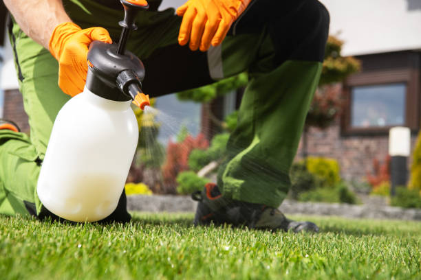 Best Best Pest Control Companies  in Springhill, LA