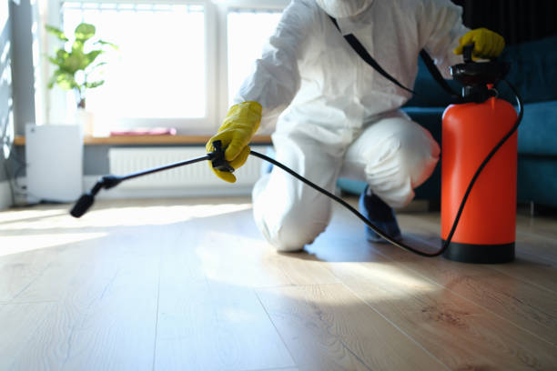 Best Flea Control Services  in Springhill, LA