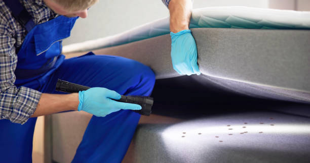 Best Local Pest Control Services  in Springhill, LA