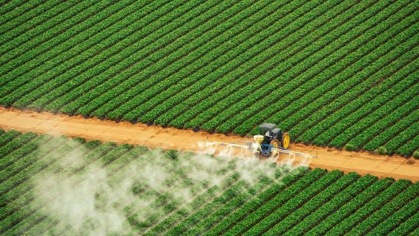 Best Pest Prevention Services  in Springhill, LA
