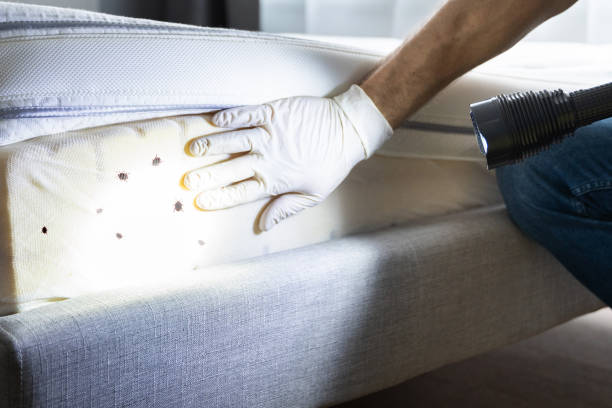 Pest Control for Restaurants in Springhill, LA